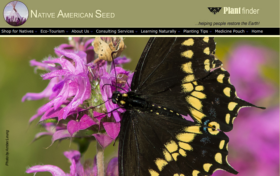 screenshot of Native American Seed website